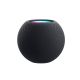 Apple HomePod mini MY5G2 Space Gray (APPMY5G2)