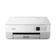 Canon PIXMA TS5351 Multifunction printer White (3773C026AA/C126AA) (CANTS5351)