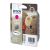Epson Μελάνι Inkjet T0613 Magenta (C13T06134010) (EPST061340)