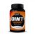 QNT Joint+   60 κάψουλες